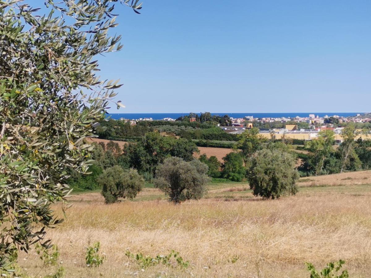 Residence Il Villaggio Del Re Corropoli المظهر الخارجي الصورة
