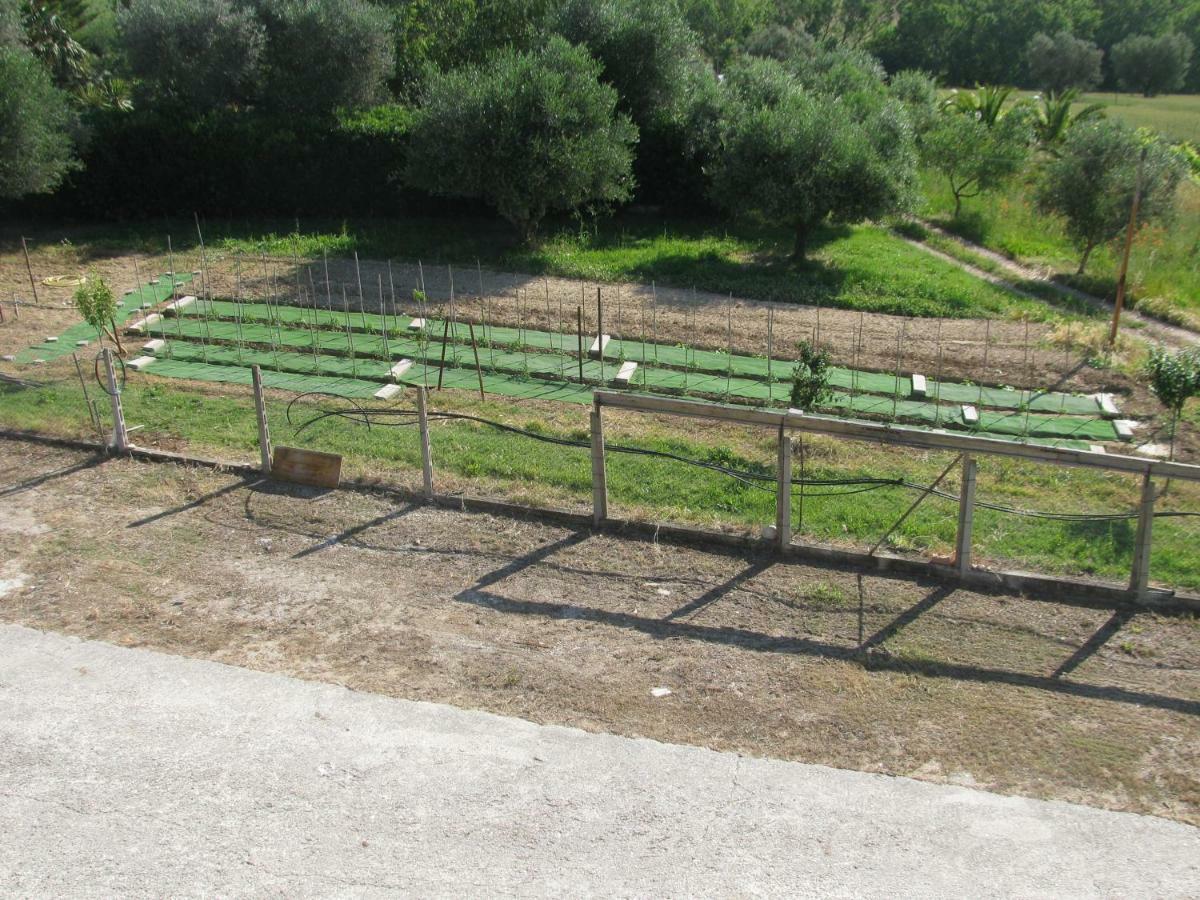 Residence Il Villaggio Del Re Corropoli المظهر الخارجي الصورة